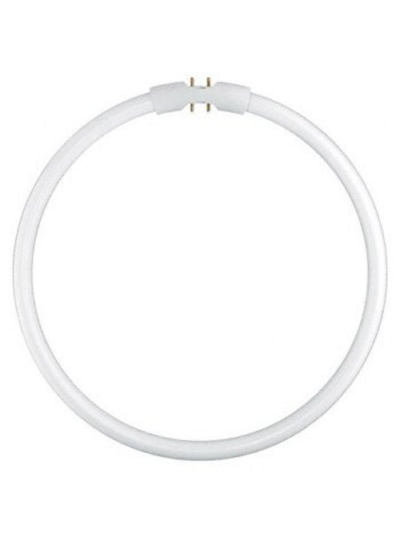 OSRAM Osram Lumilux T5 Circular FC 22W - 865 Daylight | 23cm - Image 1