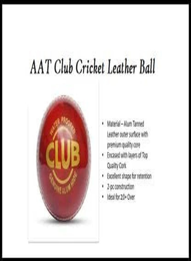 تي آر كرة كريكيت من الجلد من تي آر تريدرز (أحمر) - مقاس قياسي - Image 4