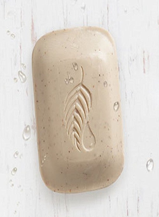 Melaleuca Exfoliating Body Bar - Image 2