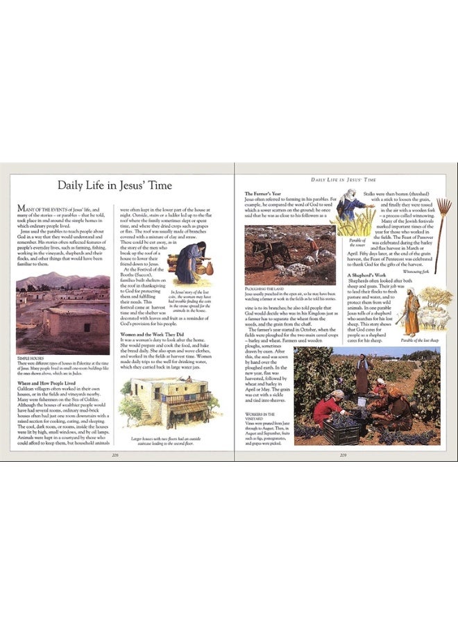 The Children's Illustrated Bible - Image 2