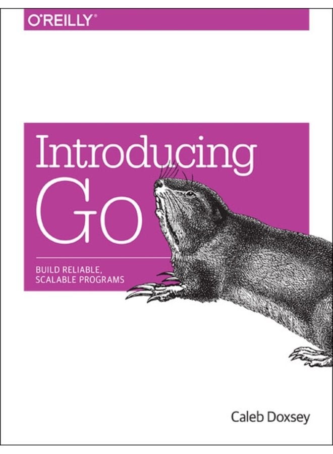 Introducing Go - Paperback