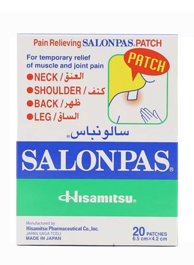 Salonpas Pain Relieving Patch Set 20 - Piece 