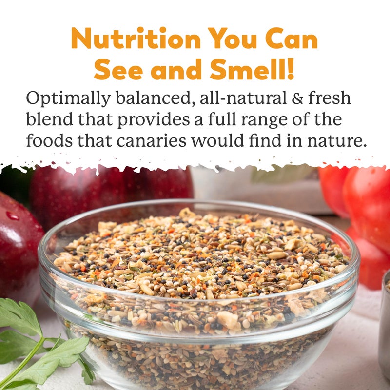 Dr. Harvey's Incredible Canary Blend, Natural Food for Canaries (4 pounds) - Image 2