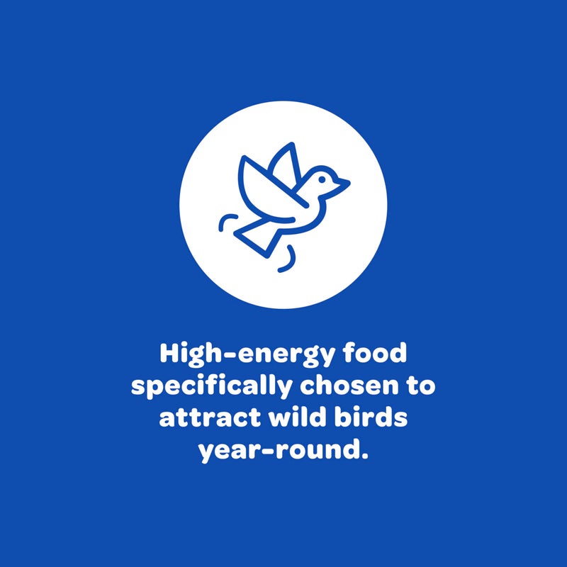 Kaytee Shelled Peanuts for Cardinals, Blue Jays, Woodpeckers and Other Outside Wild Birds, 11 Pounds - Image 4