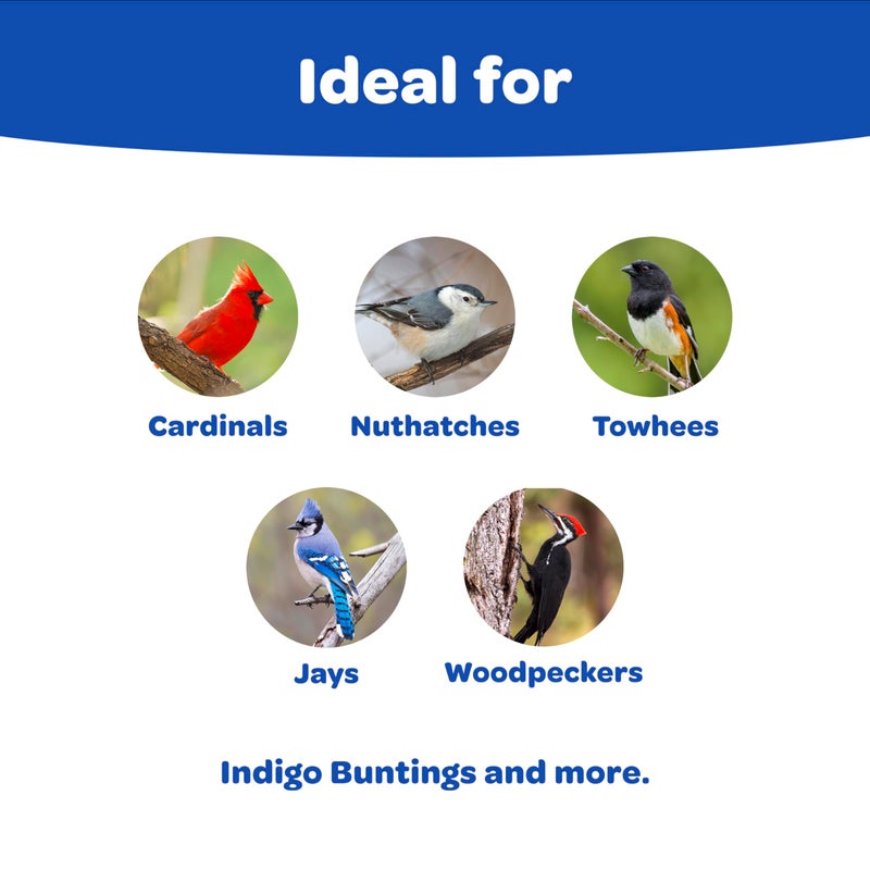 Kaytee Shelled Peanuts for Cardinals, Blue Jays, Woodpeckers and Other Outside Wild Birds, 11 Pounds - Image 2