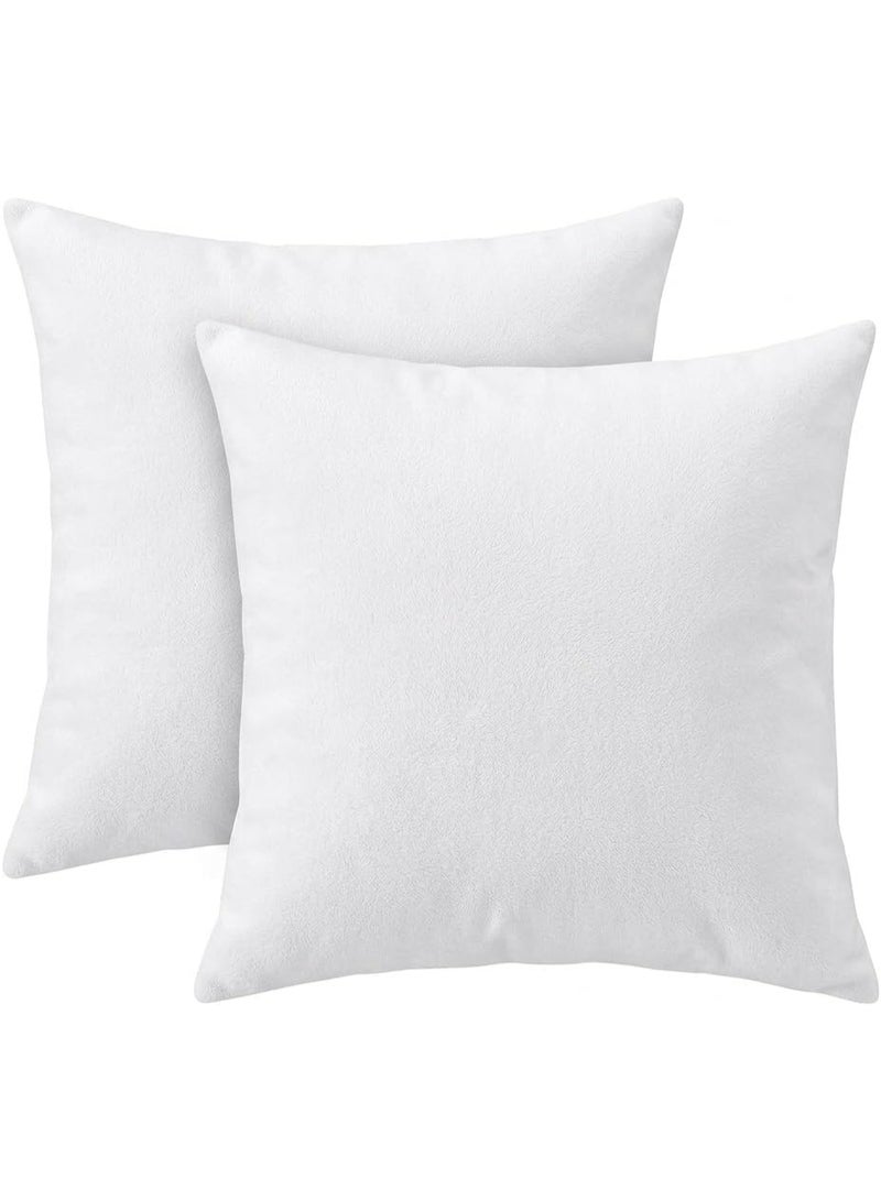 Cushion Inserts Pack of 2 – Square Throw Pillow Inserts for Sofa Couch Bed | Soft Fluffy Cushion Fillers | Decorative Pillow Inner Pads | Multiple Sizes (60 × 60 cm (24 × 24 in)) - Image 1