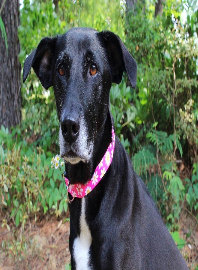 Limeloot Pink Daisy Dog Collar, Spring Summer Dog Collar for Female Dogs, Medium - Image 5