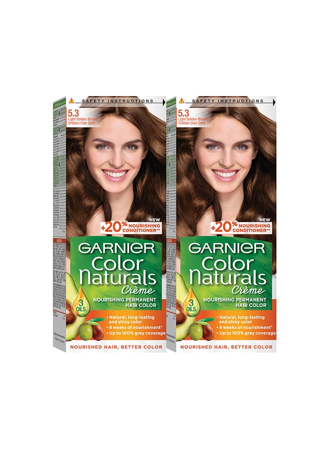 garnier كولور ناتشورالز 5.3 صبغة شعر بني ذهبي فاتح، عبوة من قطعتين - Image 1