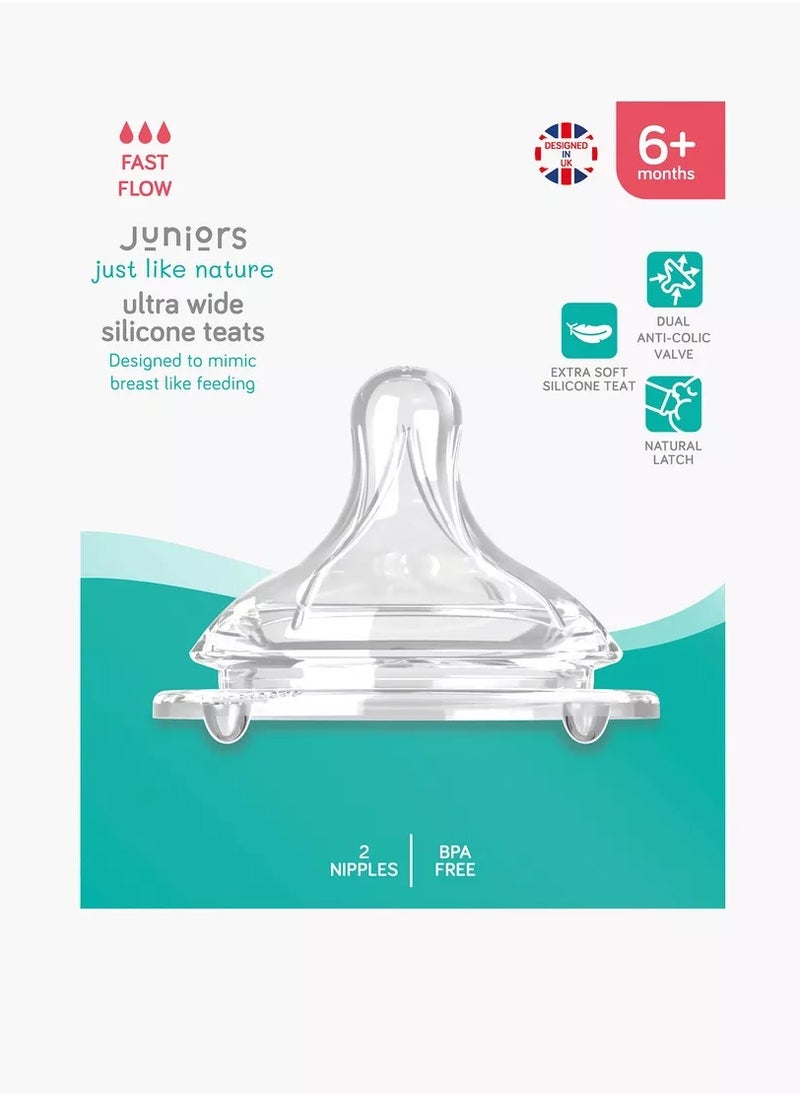 JUNIORS 2 Pieces Just Like Nature Teats With Dual Anti Colic Valves & Natural Latch Fast Flow  - Image 1