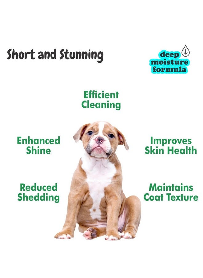 Harrods - Bscly Short Shine Dog Shampoo 500ml | Enriched with Aloe Vera & Jojoba Oil | Moisturizes & Heals Skin | Suitable for Pomeranians to Golden Retrievers - Image 1