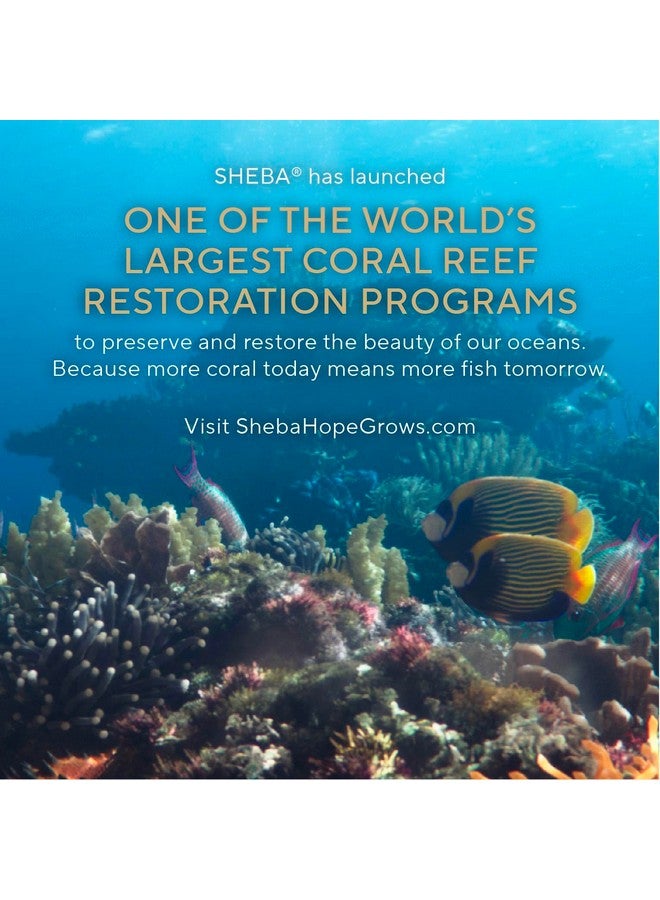 شيبا أطباق طعام القطط الرطبة Perfect Portions Paté (24 قطعة، 48 وجبة)، دجاج لذيذ، ديك رومي مشوي، وطبق رئيسي من لحم البقر الطري، صينية سهلة التقشير في عبوتين - Image 4