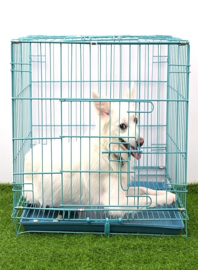 D&C PAWS قفص معدني قابل للطي للكلاب من دي آند سي باوز - باب واحد - قفص مطلي بمسحوق الطلاء مع صينية قابلة للإزالة وواقي للكف - Image 1