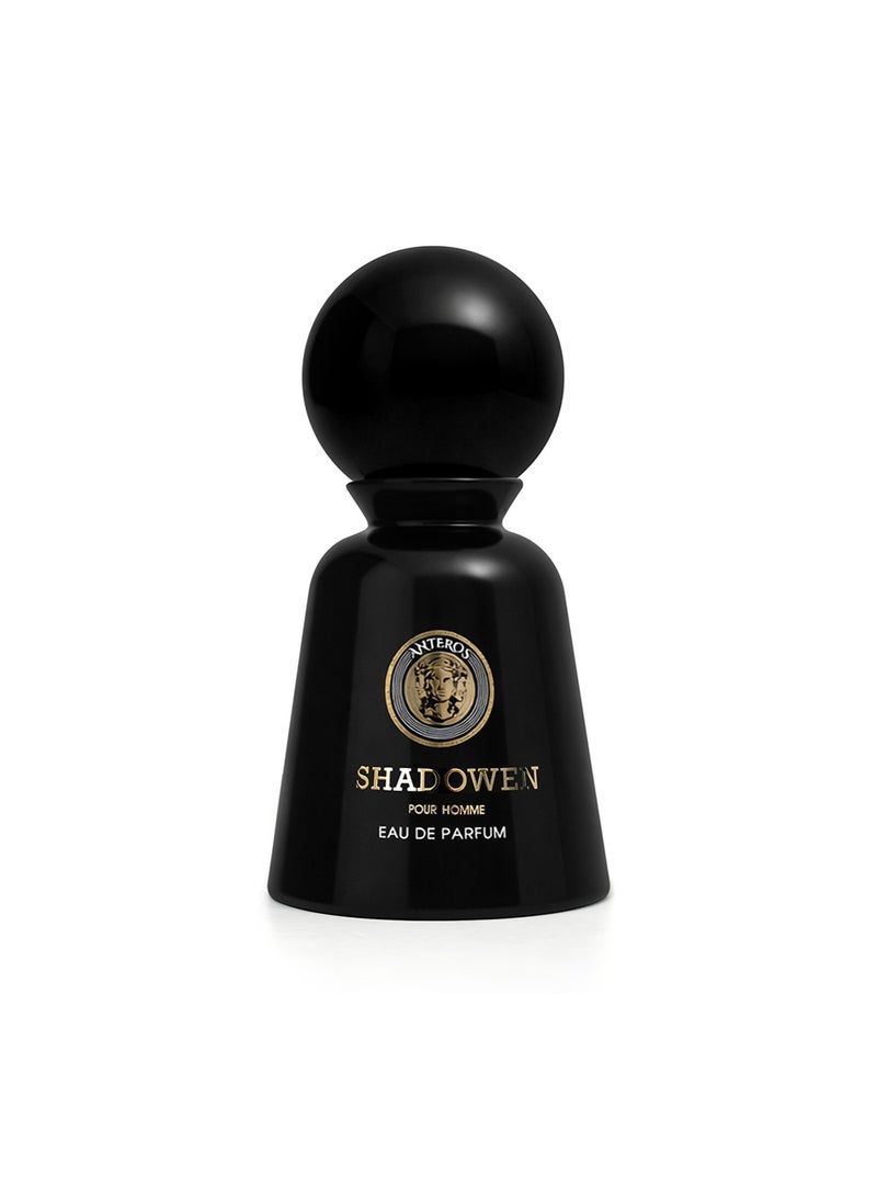 أنتروس أنترس شادوِن EDP للرجال 100 مل – عطر فاخر طويل الثبات برائحة خشبية حارة مع العنبر والمسك – أو دو برفيوم مميز للرجال - Image 5
