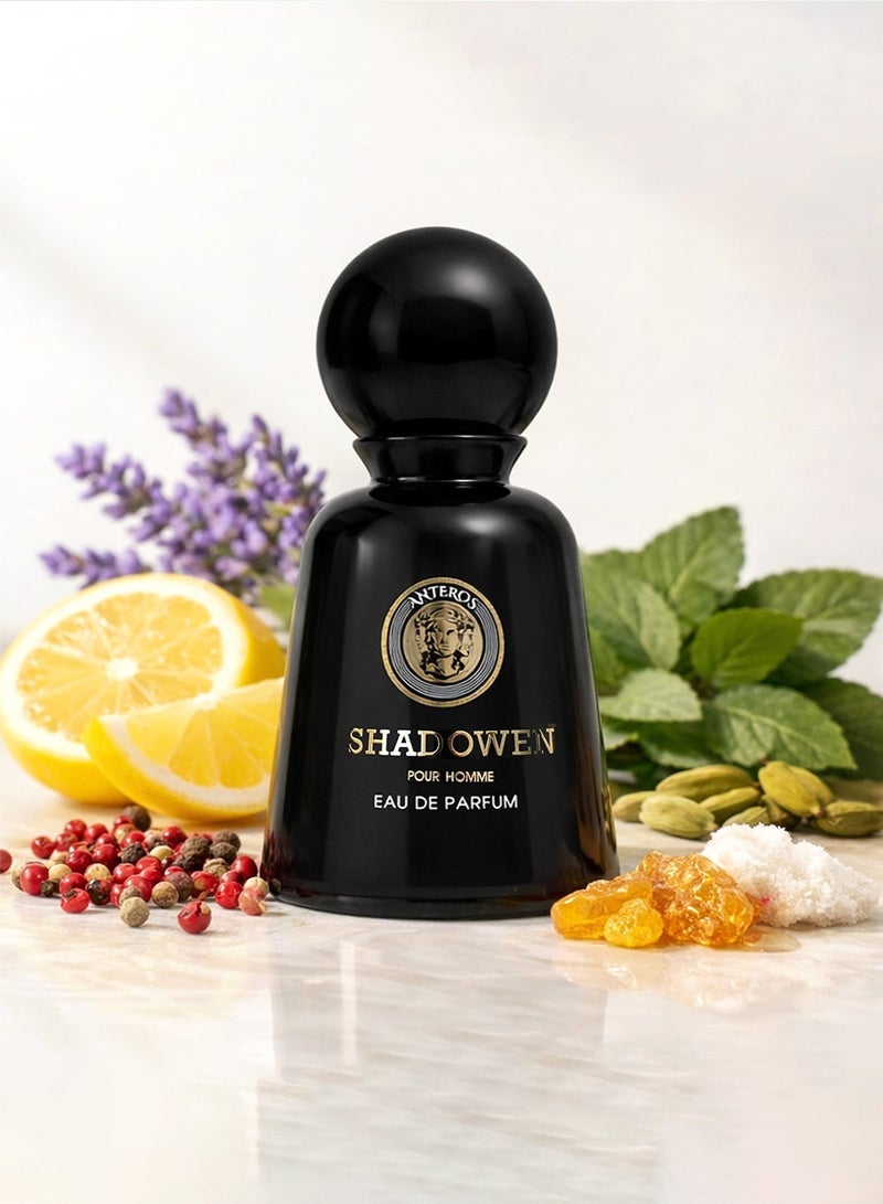 أنتروس أنترس شادوِن EDP للرجال 100 مل – عطر فاخر طويل الثبات برائحة خشبية حارة مع العنبر والمسك – أو دو برفيوم مميز للرجال - Image 1