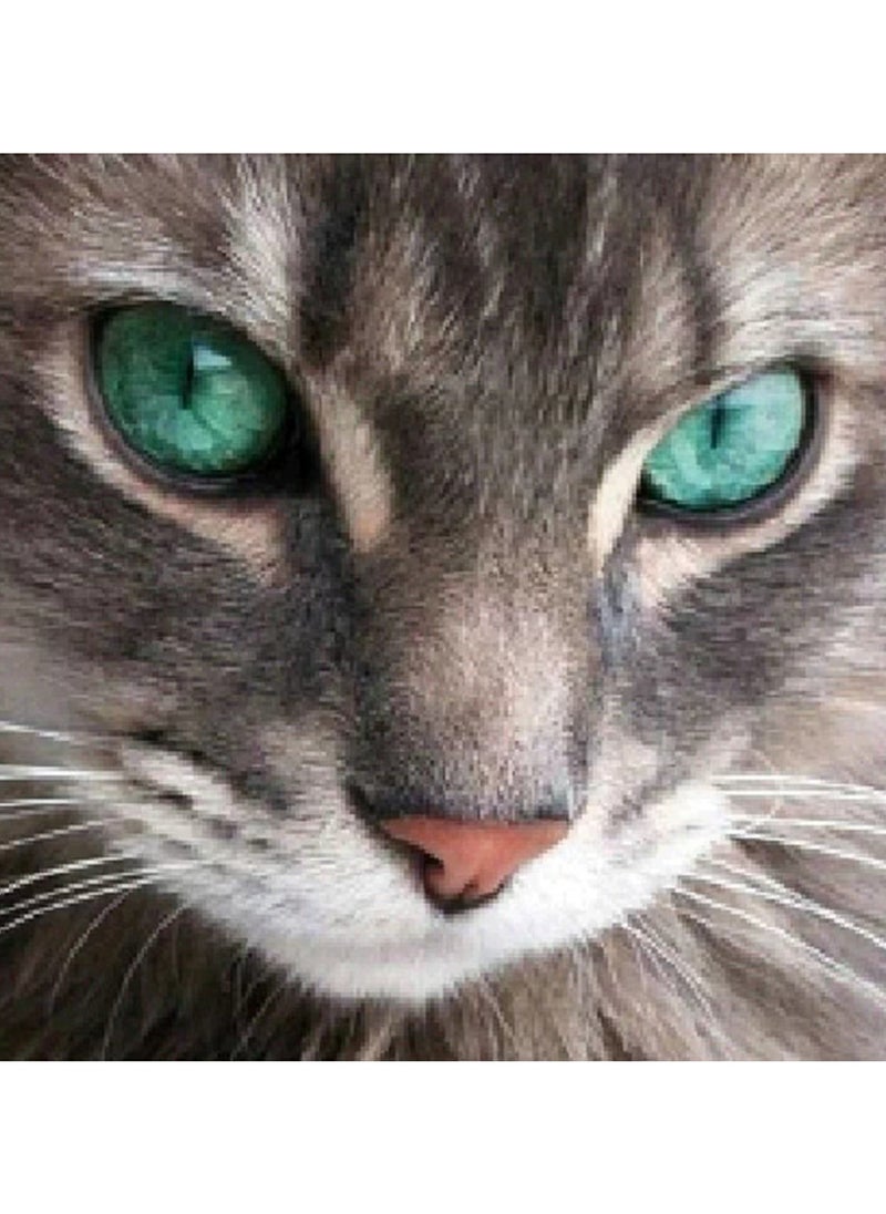 Home Clearance Sale Diamond Painting Kits for Adults, Cute Cat DIY 5D Diamond Art Kits for Diamond Dots for Adults Round Full Drill Crystal Craft Kits for Home Wall Decor Gifts  - Image 1