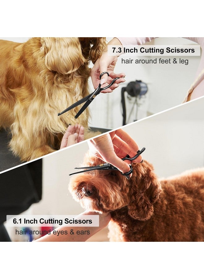 CIICII Dog Grooming Scissors Kit, 10-In-1 Professional Pet Grooming Scissors Set with Safety Round Tip (Dogs/Cat Hair Cutting Trimming Thinning Shears with Curved Scissors) for DIY Home Salon (Black) - Image 5