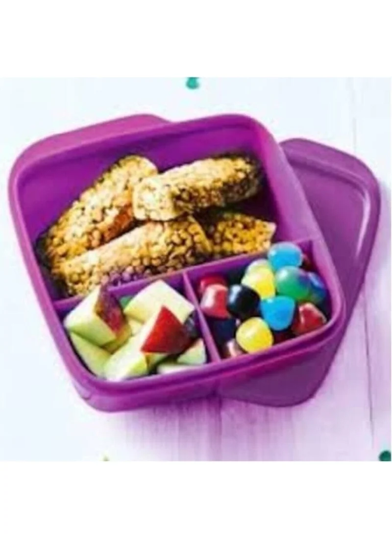 Tupperware Divided Lunch Box 550 ml
