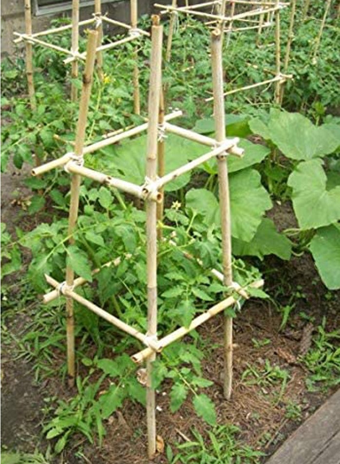 LINGWEI 2pcs Natural Bamboo Poles for Plant Support Perfect for Gardening  - Image 4
