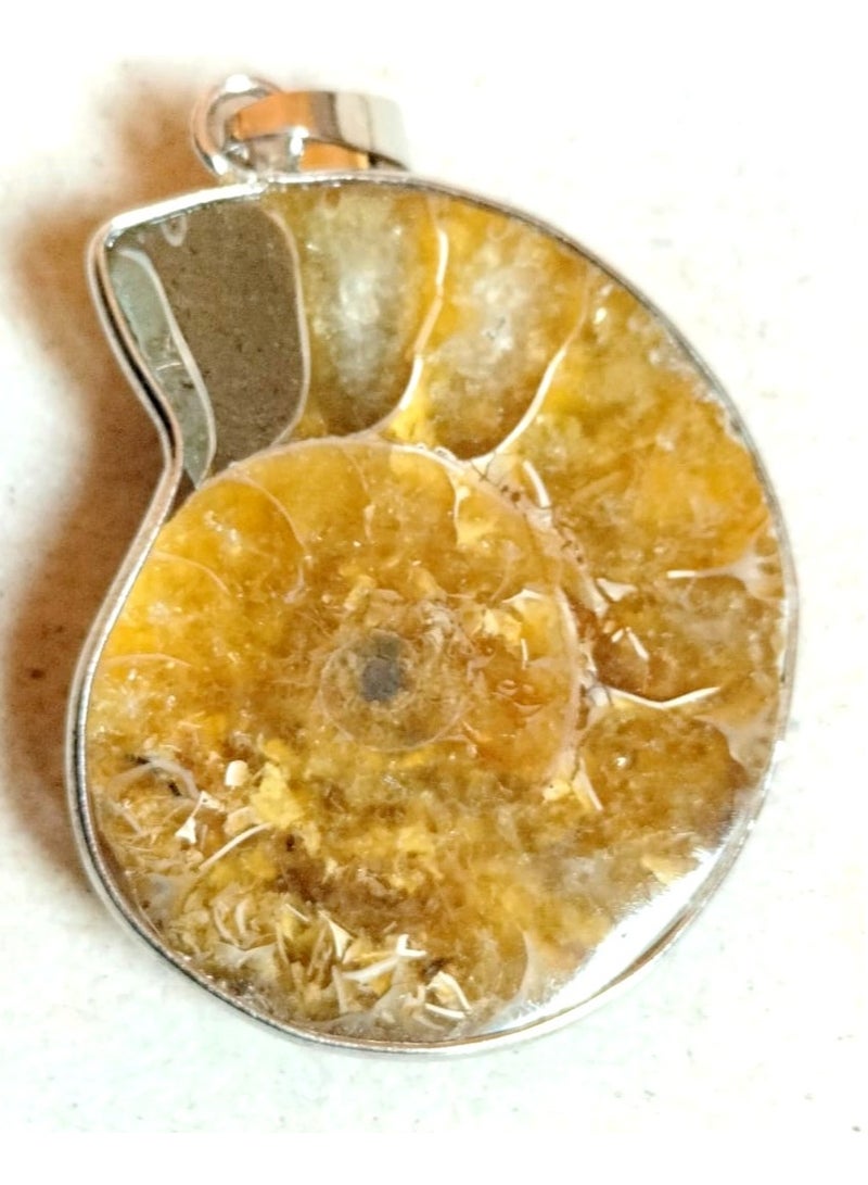Very rare ammonite pendant , million of year old  , genuine