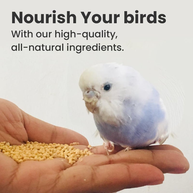 BRANDSFINITY Bird Food For Small Birds (400g) - Image 4