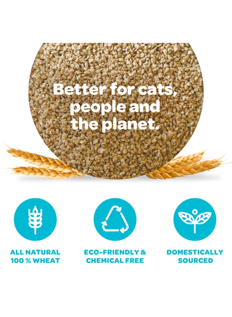 sWheat scoop - sWheat Scoop Clumping Wheat Natural Cat Litter Original 12 Lbs Odor Free Cat Litter Cat litter Clumping Cat litter Crystal - Image 1