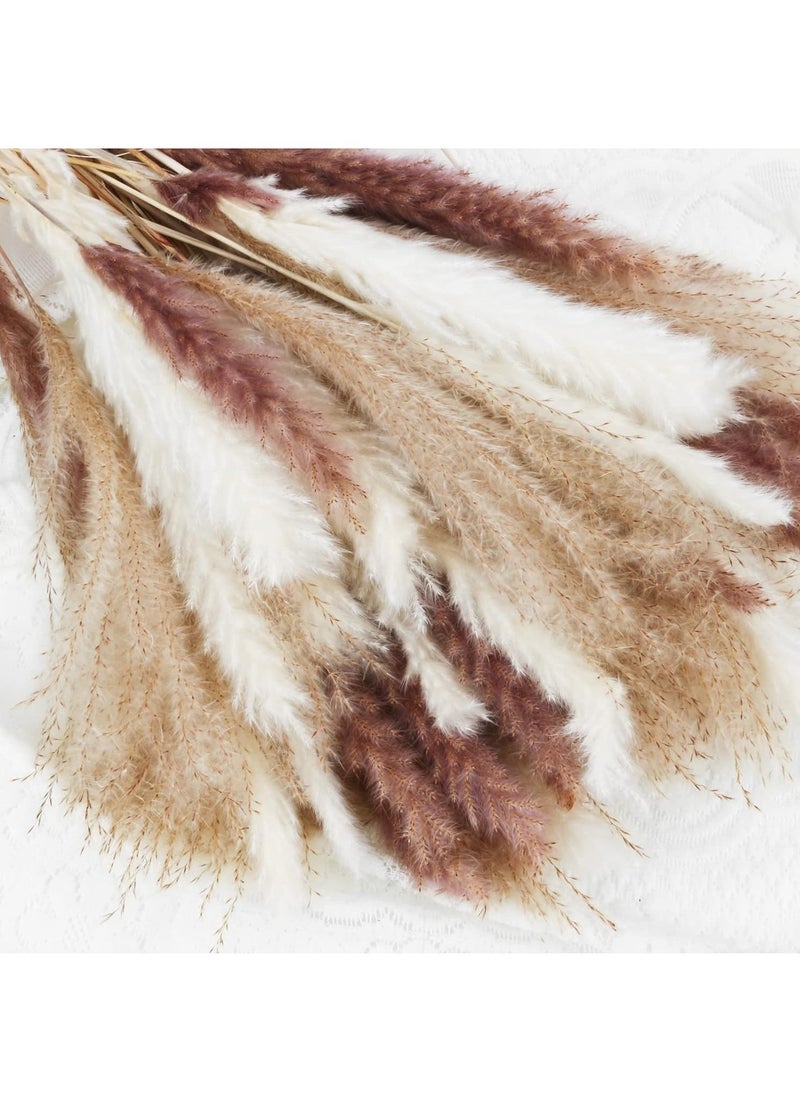 LIMOS Natural Dried Pampas Grass Bouquet : Brown White Reed Pampas Floral Arrangements Decorations for Home Room Office Party Decor (60PCS)  - Image 2