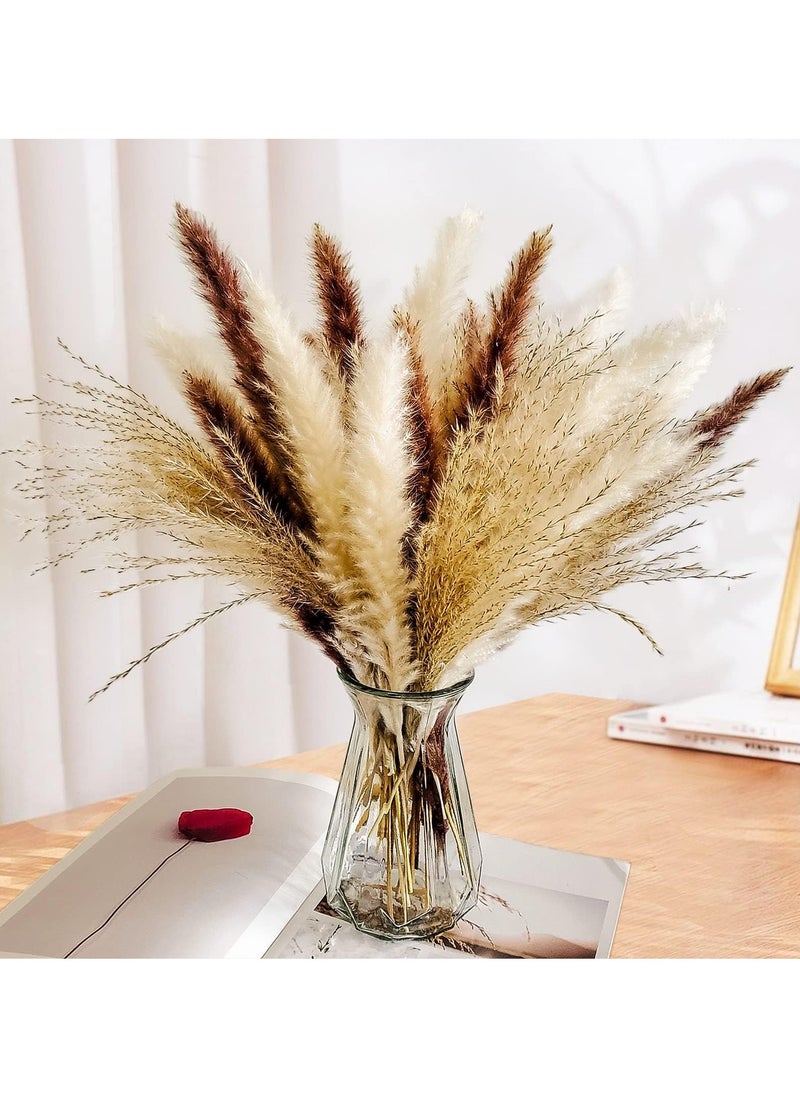 LIMOS Natural Dried Pampas Grass Bouquet : Brown White Reed Pampas Floral Arrangements Decorations for Home Room Office Party Decor (60PCS)  - Image 3