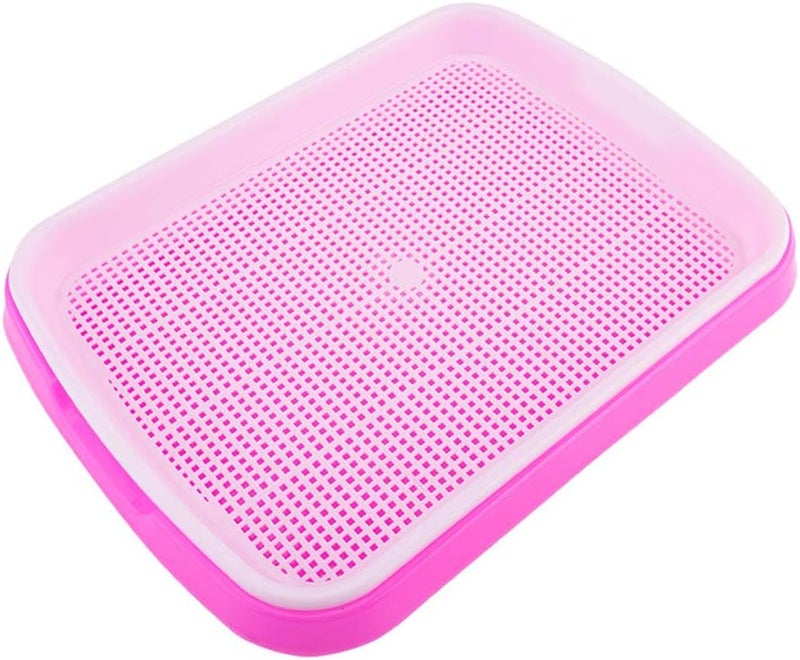 woobles Seed Sprouter Tray Soil-Free Food Grade PP Healthy Wheatgrass Grower-35x26x5cm(Pink) Pink - Image 1