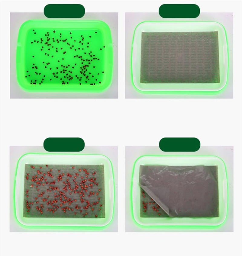 woobles Seed Sprouter Tray Soil-Free Food Grade PP Healthy Wheatgrass Grower-35x26x5cm(Pink) Pink - Image 2