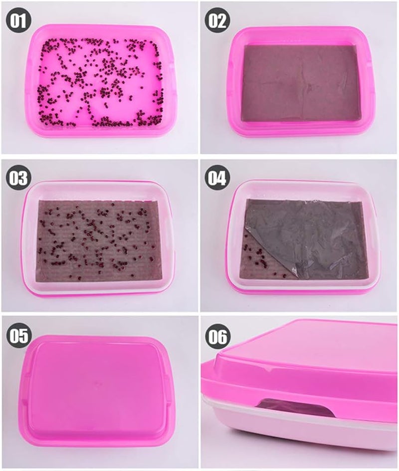 woobles Seed Sprouter Tray Soil-Free Food Grade PP Healthy Wheatgrass Grower-35x26x5cm(Pink) Pink - Image 5