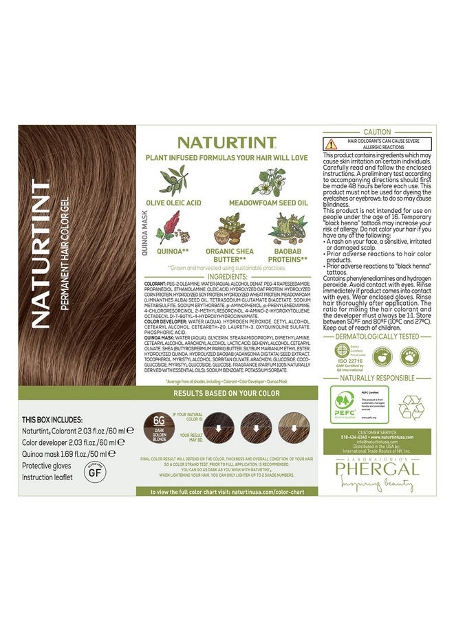 NATURTINT Permanent Hair Color 6G Dark Golden Blonde (Pack Of 6) Ammonia Free Vegan Cruelty Free Up To 100% Gray Coverage Long Lasting Results (Packaging May Vary)  - Image 4
