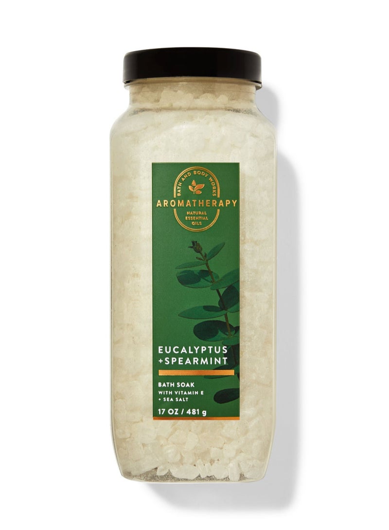 Bath & Body Works Eucalyptus Spearmint Bath Soak  - Image 1