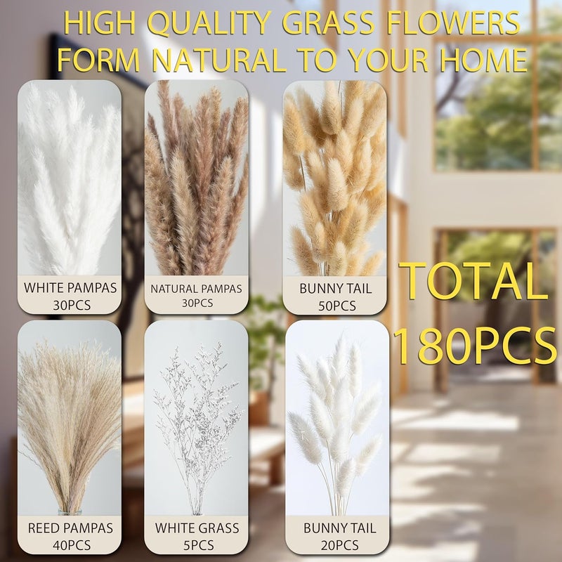 FloraDream 180 PCS Pampas Grass Decor Natural Dried Flowers | Boho Dried Floral Arrangement Centerpiece Table Decor Wedding Decor Rustic Decor - Image 4