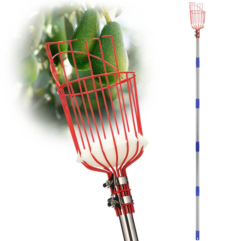 DonSail Fruit Picker Pole Tool with Basket Long Handle, 35-65 Inch Adjustable Apple Orange Picker Pole Tool with Basket for Avocado Acorn Lemon Pear Mango Tree Picker - Image 1
