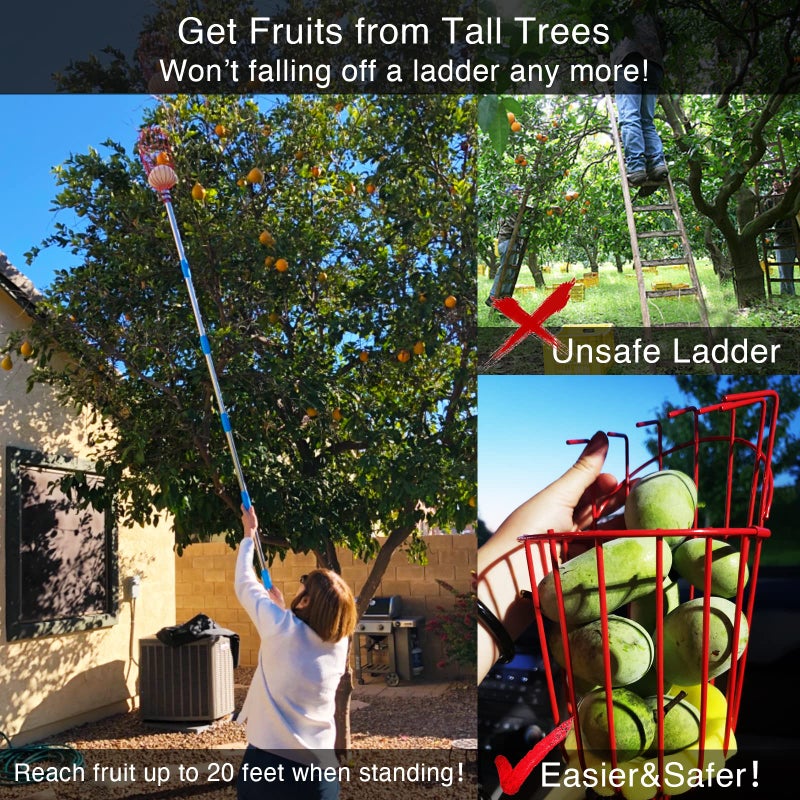 DonSail Fruit Picker Pole Tool with Basket Long Handle, 35-65 Inch Adjustable Apple Orange Picker Pole Tool with Basket for Avocado Acorn Lemon Pear Mango Tree Picker - Image 5