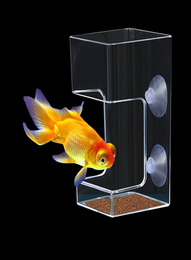 يافيجي صندوق تغذية الأسماك المربع من YAFIYGI، مانع للفوضى، حامل أنبوب تغذية لأسماك البيتا، صندوق طعام ديدان الدم لأحواض السلاحف وأحواض السمك، نظام تحكم في التغذية - Image 1