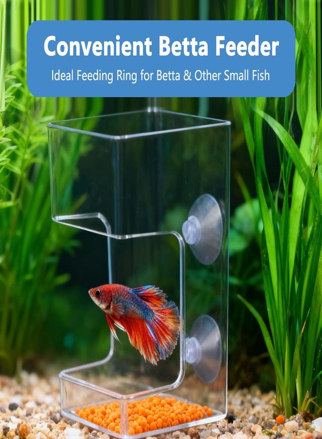 يافيجي صندوق تغذية الأسماك المربع من YAFIYGI، مانع للفوضى، حامل أنبوب تغذية لأسماك البيتا، صندوق طعام ديدان الدم لأحواض السلاحف وأحواض السمك، نظام تحكم في التغذية - Image 5