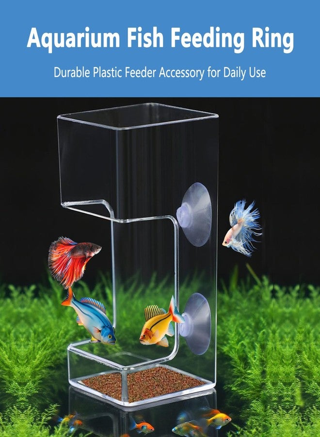 يافيجي صندوق تغذية الأسماك المربع من YAFIYGI، مانع للفوضى، حامل أنبوب تغذية لأسماك البيتا، صندوق طعام ديدان الدم لأحواض السلاحف وأحواض السمك، نظام تحكم في التغذية - Image 3