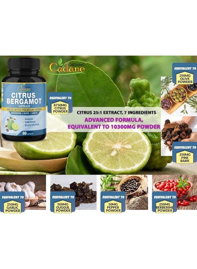 Organic Cadane 2 Packs Citrus Bergamot Extract Capsules 10300mg & Berberine, Olive, Guggul, Garlic, Pine Bark, Black Pepper | Support Overall Health, Promotes Immune System, Powerful Antioxidant | 4 Months Supply - Image 2