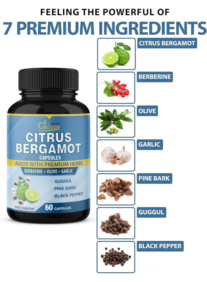 Organic Cadane 2 Packs Citrus Bergamot Extract Capsules 10300mg & Berberine, Olive, Guggul, Garlic, Pine Bark, Black Pepper | Support Overall Health, Promotes Immune System, Powerful Antioxidant | 4 Months Supply - Image 3