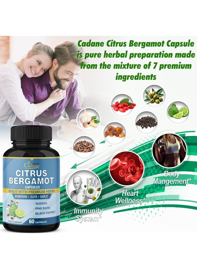 Organic Cadane 2 Packs Citrus Bergamot Extract Capsules 10300mg & Berberine, Olive, Guggul, Garlic, Pine Bark, Black Pepper | Support Overall Health, Promotes Immune System, Powerful Antioxidant | 4 Months Supply - Image 4
