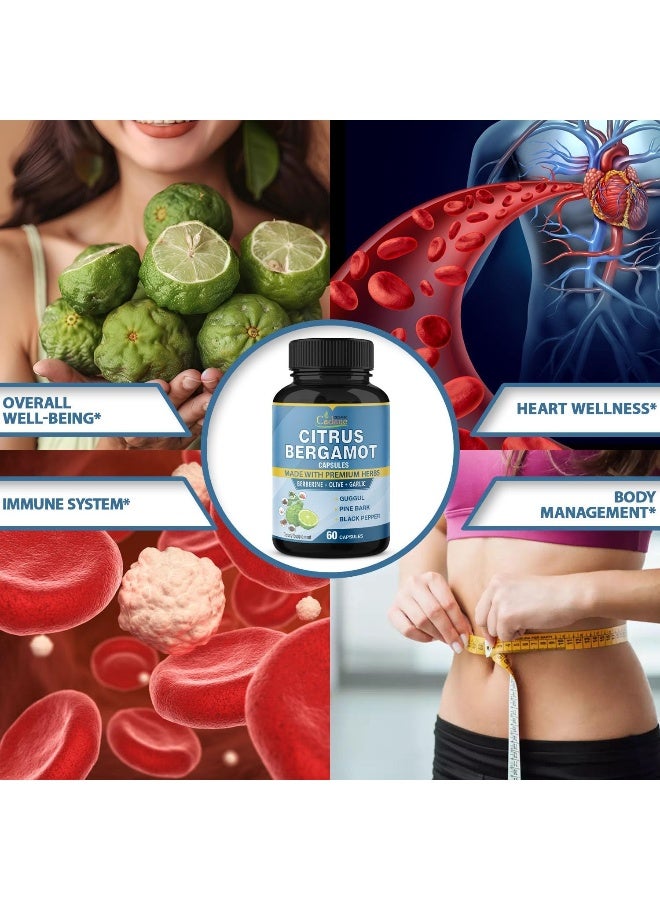 Organic Cadane 2 Packs Citrus Bergamot Extract Capsules 10300mg & Berberine, Olive, Guggul, Garlic, Pine Bark, Black Pepper | Support Overall Health, Promotes Immune System, Powerful Antioxidant | 4 Months Supply - Image 5