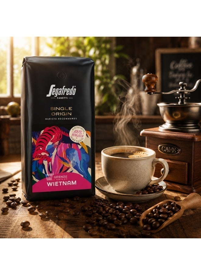 Segafredo Single Origin Vietnam Beans 1000g - Image 3