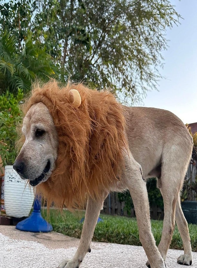 AMRIU Halloween Realistic & Funny Lion Mane for Dog Costumes for Medium Large Dogs, Dog Halloween Costumes (Compatible Neck Size 23 to 30 inches) - Image 3
