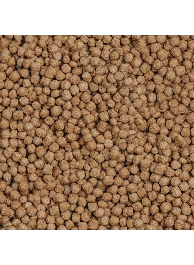 سيرا طعام سمك سيرا كوي رويال متوسط الحجم، 1000 مل - Image 4