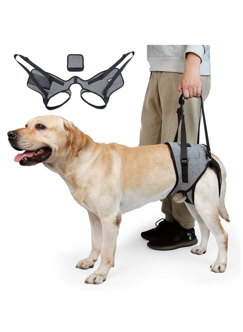 Zikra Dog Lift Harness, Dog Sling for Medium Large Dogs, Adjustable Dog Support Harness for Back Legs, Comfy Design Pet Harness with Padded for Elderly, Injured, Arthritic, Senior, Disabled Dogs - Image 1