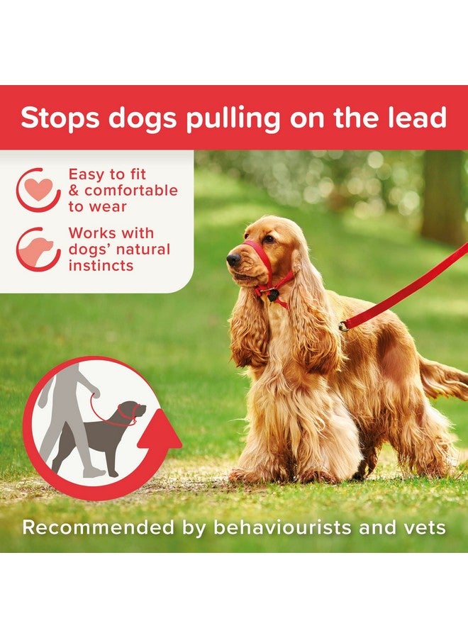 Beaphar | Gentle Leader | Head Collar for Medium Dogs | Stops Pulling On The Lead | Training Aid with Immediate Effect | Endorsed by Behaviourists | Red x 1 - Image 2