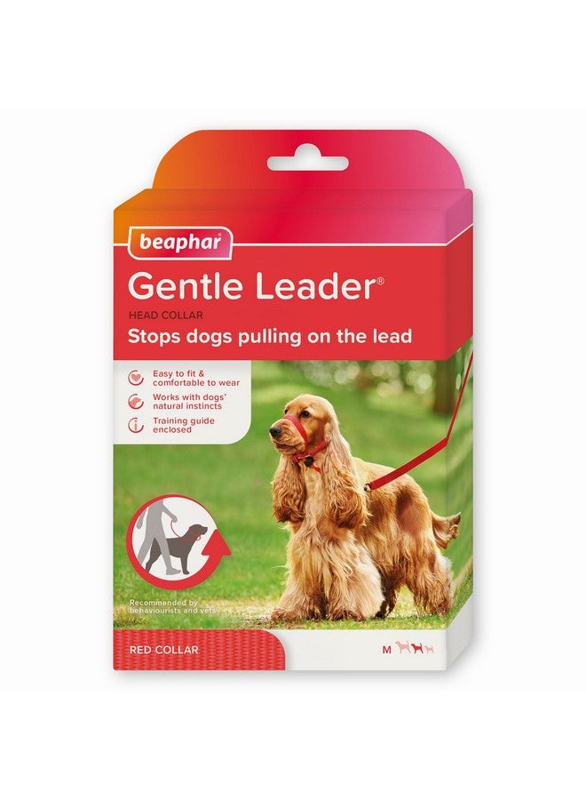 Beaphar | Gentle Leader | Head Collar for Medium Dogs | Stops Pulling On The Lead | Training Aid with Immediate Effect | Endorsed by Behaviourists | Red x 1 - Image 1
