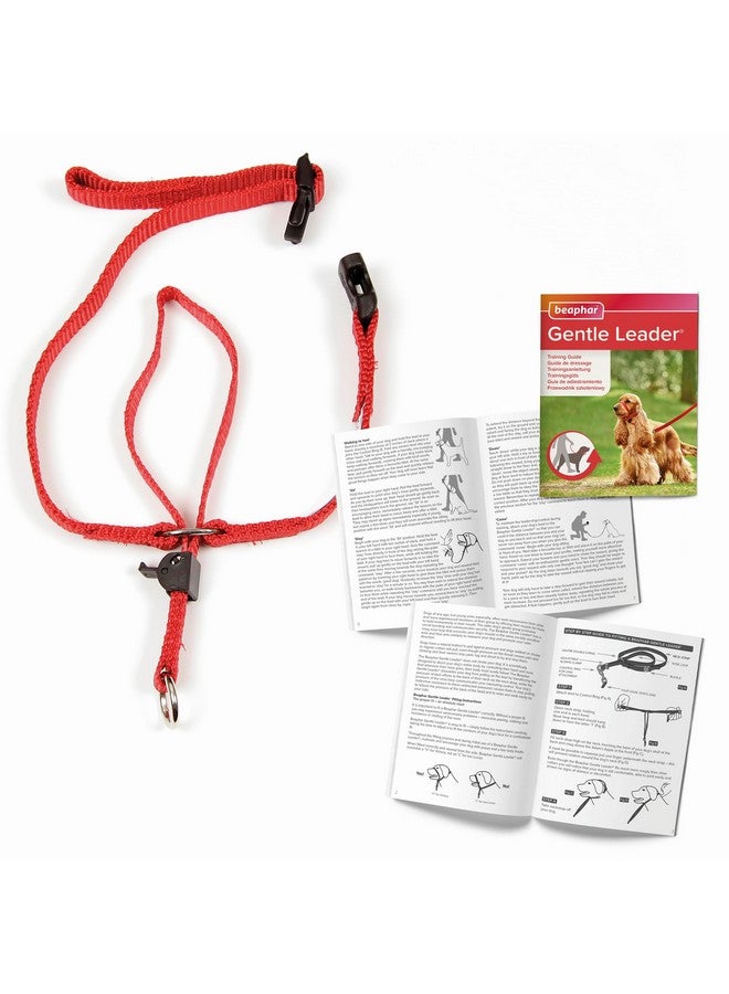 Beaphar | Gentle Leader | Head Collar for Medium Dogs | Stops Pulling On The Lead | Training Aid with Immediate Effect | Endorsed by Behaviourists | Red x 1 - Image 5
