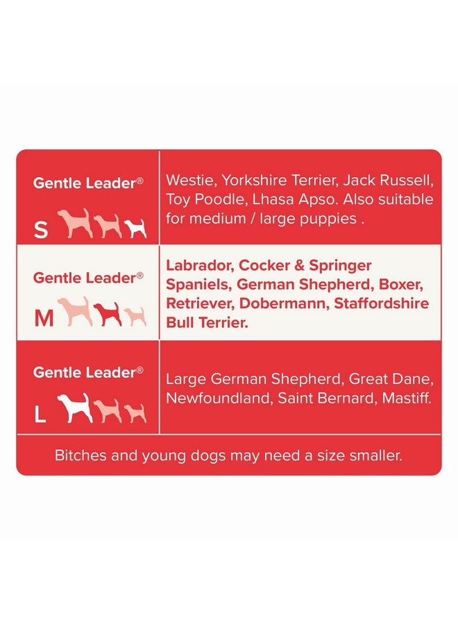 Beaphar | Gentle Leader | Head Collar for Medium Dogs | Stops Pulling On The Lead | Training Aid with Immediate Effect | Endorsed by Behaviourists | Red x 1 - Image 3